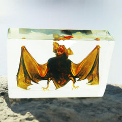 Real Nature Gifts Desktop Decorations