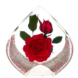 Real Flower Red Rose – Resin Tear Drop Paperweight (2.5” x 2.5” x 1.5”)