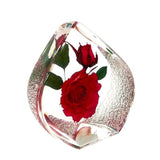 Real Flower Red Rose – Resin Tear Drop Paperweight (2.5” x 2.5” x 1.5”)