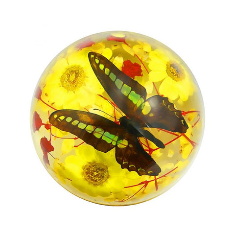 Real Butterfly Half-Dome yellow flowers Real Nature Gift