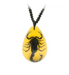 Real Black Scorpion Necklace Amber Real Nature Gift