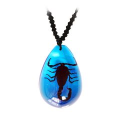 Real Black Scorpion Necklace Blue Real Nature Gift Jewelry With Box