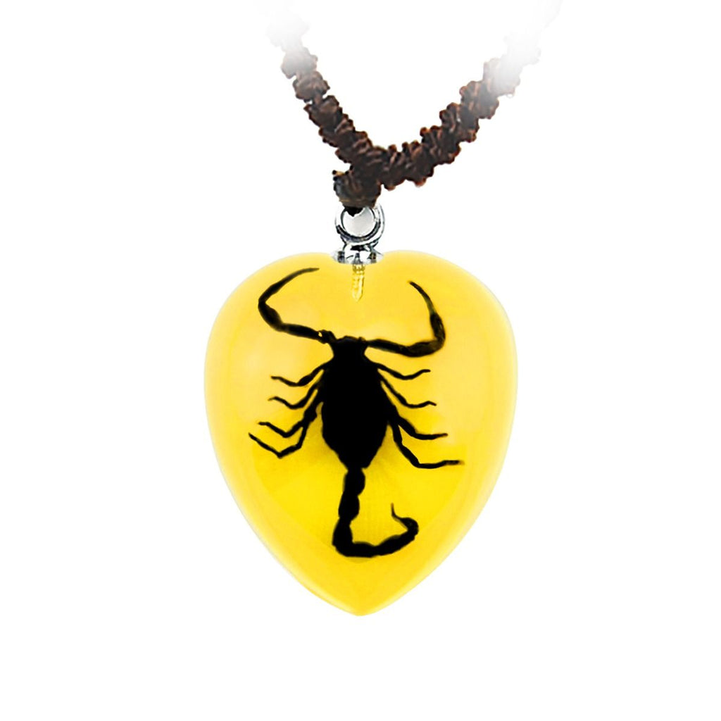 Real Black Scorpion Necklace Heart Shaped Amber Resin Real Nature Gift