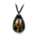 Real Bark Scorpion Necklace Teardrop Shape Black Real Nature Gift