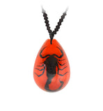 Real Black Scorpion Necklace Red Lucite Real Nature Gift Jewelry With Box