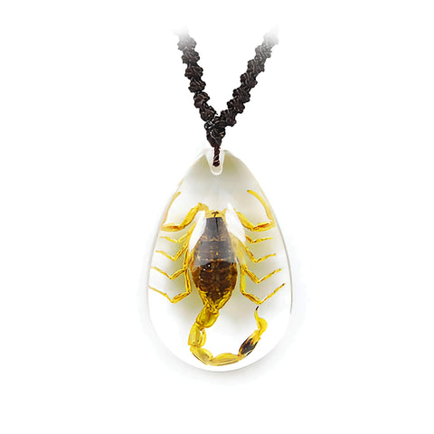 Real Bark Scorpion Necklace Teardrop Shaped Clear Real Nature Gift