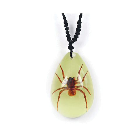 Real Spider Necklace Teardrop Shaped Glows In The Dark Real Nature Gift