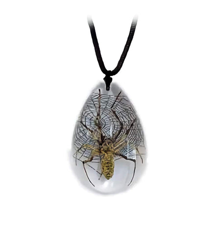 Real Spider Necklace Teardrop Shaped Clear Large Real Nature Gift