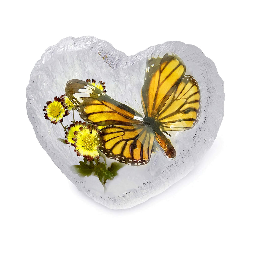 Real Butterfly Monarch Heart Shape Desktop Real Nature Gift