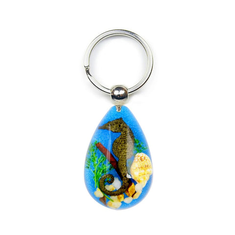 Real Seahorse Keychain Blue Teardrop Shape Keychain Real Nature Gifts