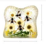 Real Honeybee in Square Resin Paperweight Desktop Decoration Real Nature Gifts