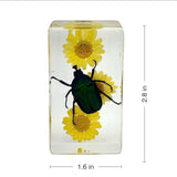 Real Green Rose Chafer Beetle with Flowers – Resin Paperweight (2.9" x 1.6" x 1") | Real Nature Gift