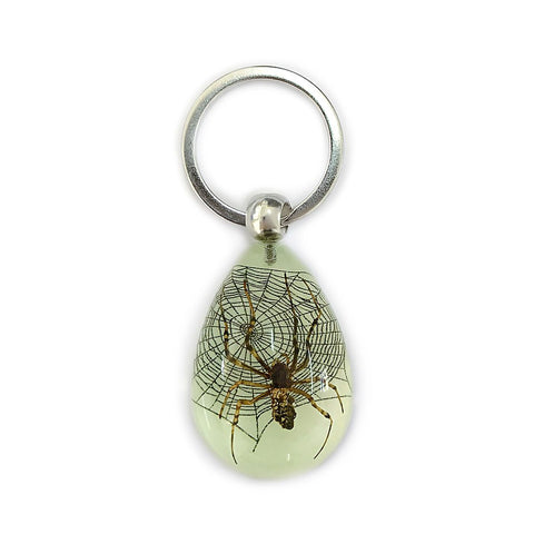 Real Spider Keychain Glow In The Dark Resin Real Nature Gift Jewelry With Box
