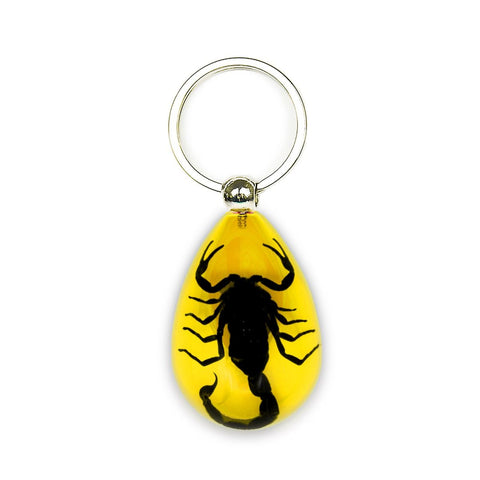 Real Black Scorpion Keychain in Amber Colored Resin Real Nature Gift