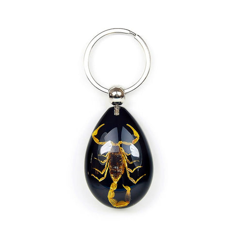 Real Bark Scorpion Keychain Teardrop Shape Black Real Nature Gift