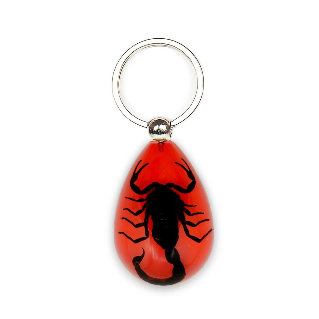 Real Black Scorpion Keychain with Red Resin Real Nature Gift