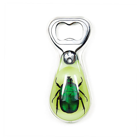Real June Bug  Magnetic Glow In The Dark Bottle Opener With Red Resin Real Nature Gifts