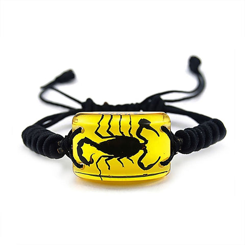 Real Black Scorpion Bracelet Amber Real Nature Gift