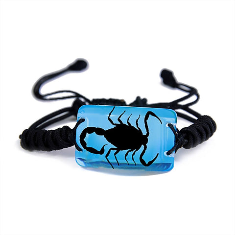 Real Black Scorpion Bracelet Blue Real Nature Gift