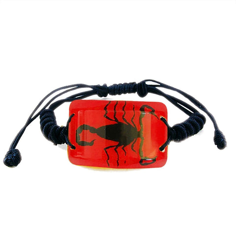 Real Black Scorpion Bracelet Rectangle Shaped Red Real Nature Gift