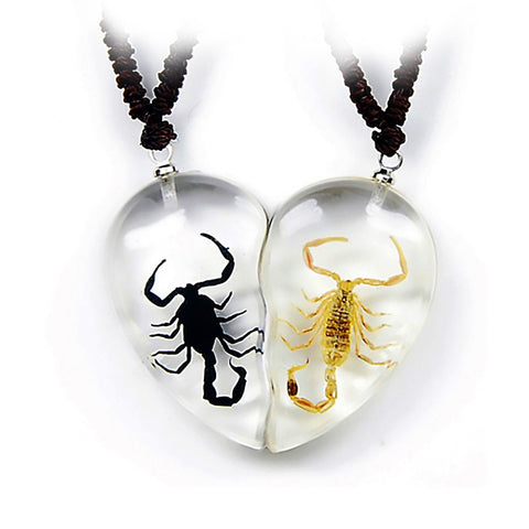 Real Bark Scorpion and Emperor Scorpion Clear Resin Friendship / Valentines Necklace Real Nature Gift
