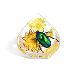 Real June Bug in Teardrop Resin Paperweight Desktop Decoration Real Nature Gifts