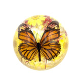 Real Butterfly Half-Dome Monarch with Yellow Flower Real Nature Gift