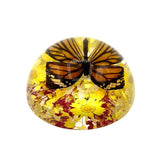 Real Butterfly Half-Dome Monarch with Yellow Flower Real Nature Gift