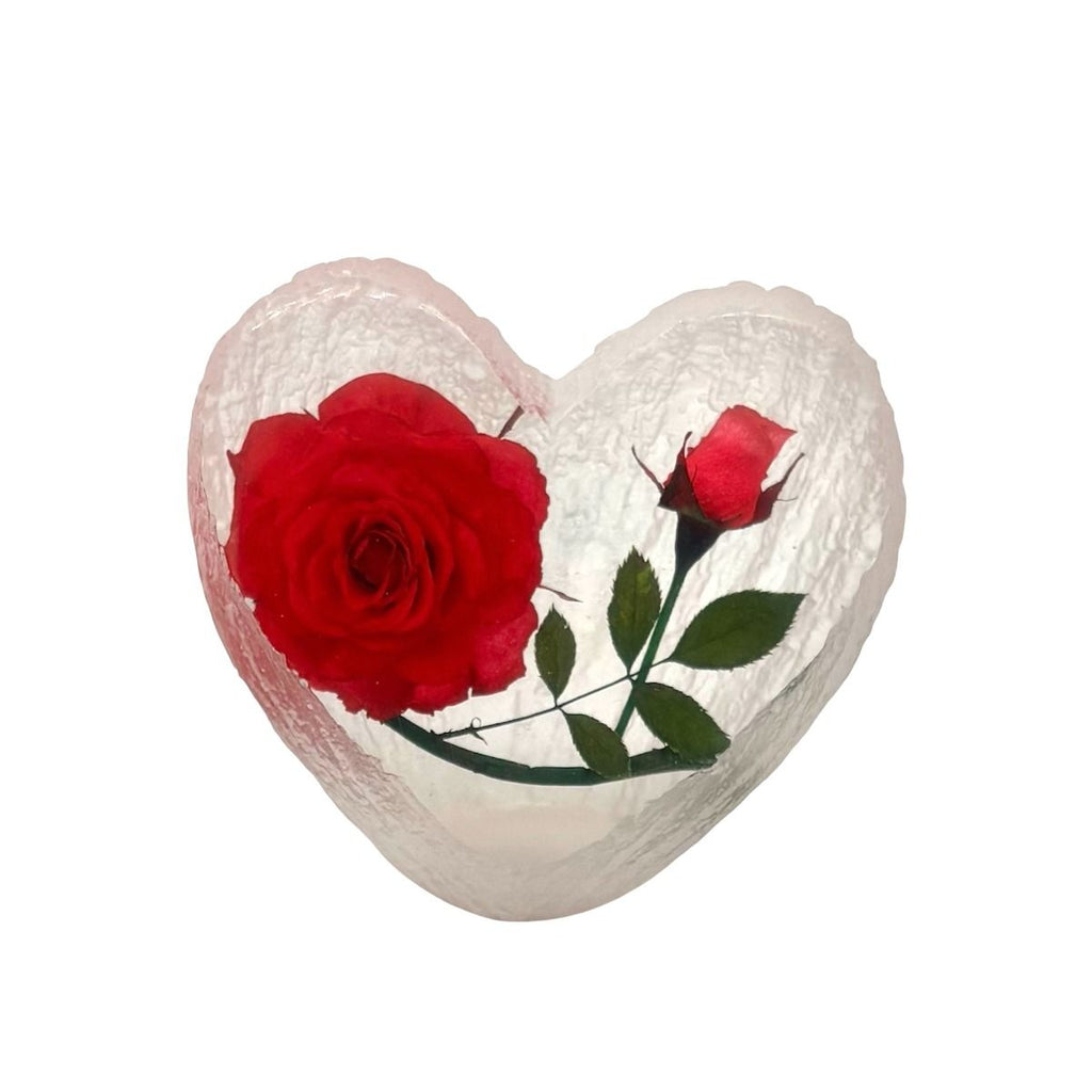 Real Flower Heart Red Rose Real Nature Gifts