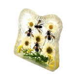 Real Honeybee in Square Resin Paperweight Desktop Decoration Real Nature Gifts