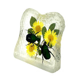 Real June Bug in Square Resin Paperweight Desktop Decoration Real Nature Gifts