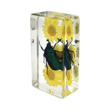 Real Green Rose Chafer Beetle with Flowers – Resin Paperweight (2.9" x 1.6" x 1") | Real Nature Gift