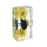 Real Green Rose Chafer Beetle with Flowers – Resin Paperweight (2.9" x 1.6" x 1") | Real Nature Gift