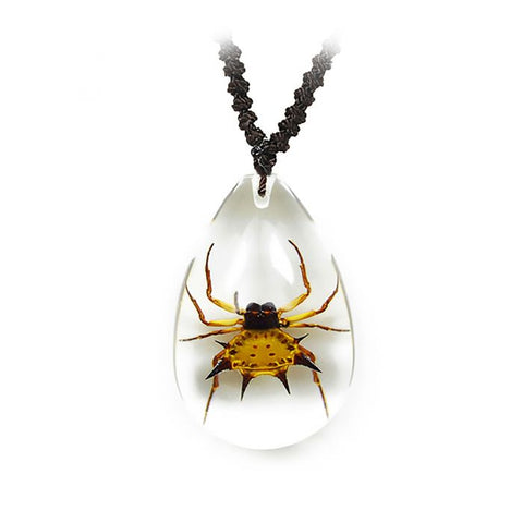 Real Spider Necklace Teardrop Shaped Clear Spiny back Spider Real Nature Gift
