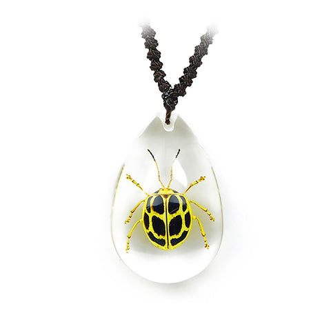 Real Desert Beetle Necklace Teardrop Shaped Clear Real Nature Gifts