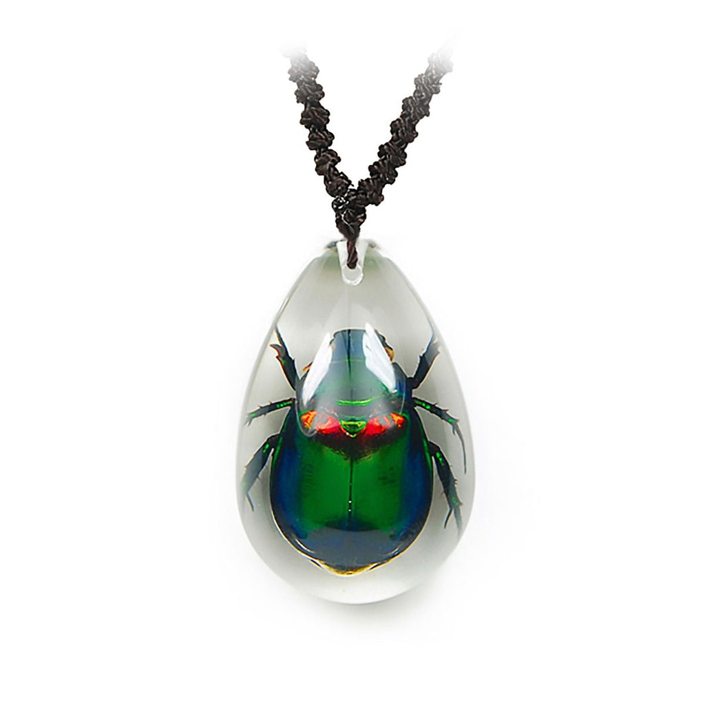 Real June Bug Beetle Necklace Clear Real Nature Gift With Box