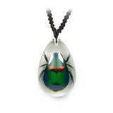 Real June Bug Beetle Necklace Clear Real Nature Gift With Box