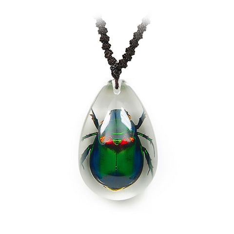 Real June Bug Beetle Necklace Clear Real Nature Gift With Box
