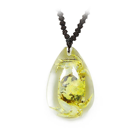 Real Crab Necklace Teardrop Shaped Clear Real Nature Gift