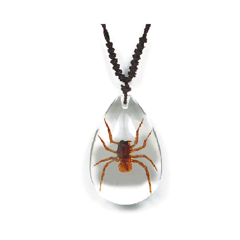 Real Spider Necklace Teardrop Shaped Clear Real Nature Gift