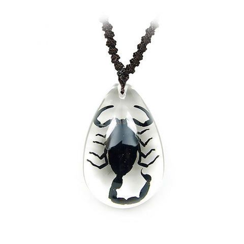 Real Black Scorpion Necklace Teardrop Real Nature Gift