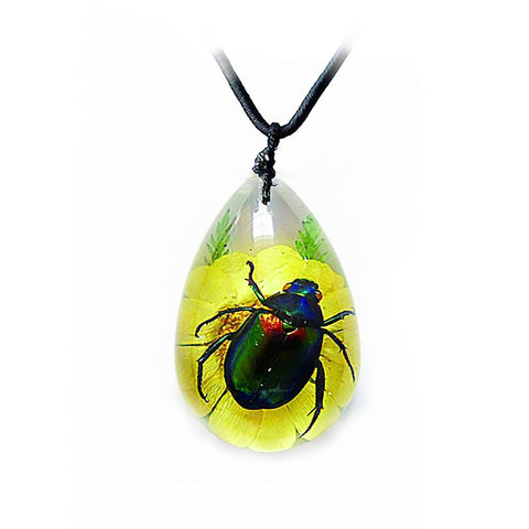 Real June Bug Beetle Necklace with Flowers Real Nature Gift With Box