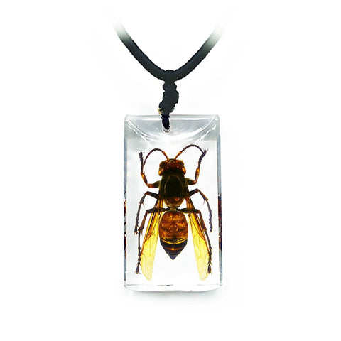 Real Wasp Necklace Rectangle Real Nature Gift With Box