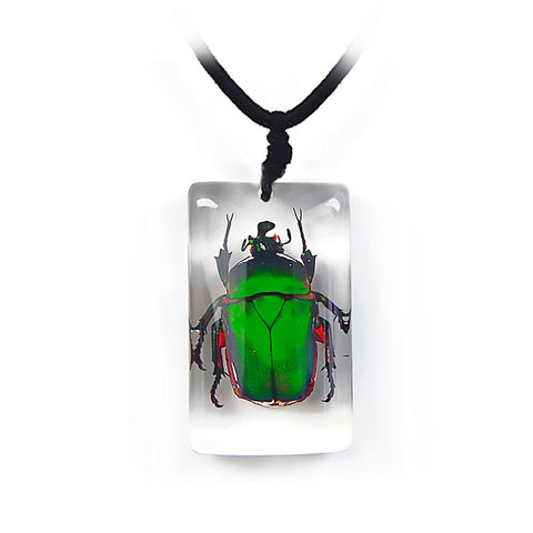 Real June Bug Beetle Necklace Rectangle Real Nature Gift With Box