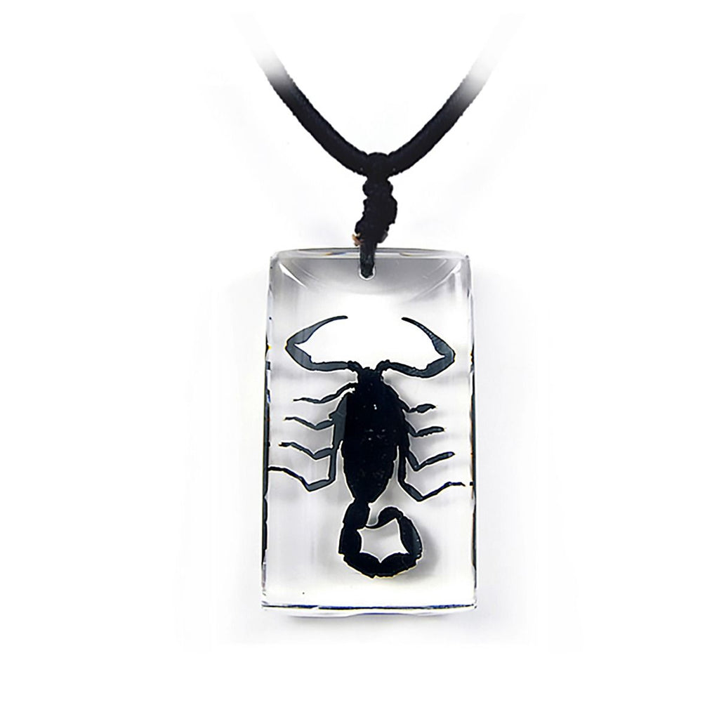 Real Black Scorpion Necklace Rectangle Real Nature Gift With Box