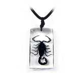 Real Black Scorpion Necklace Rectangle Real Nature Gift With Box