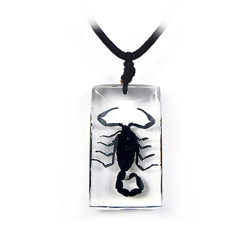 Real Black Scorpion Necklace Rectangle Real Nature Gift With Box