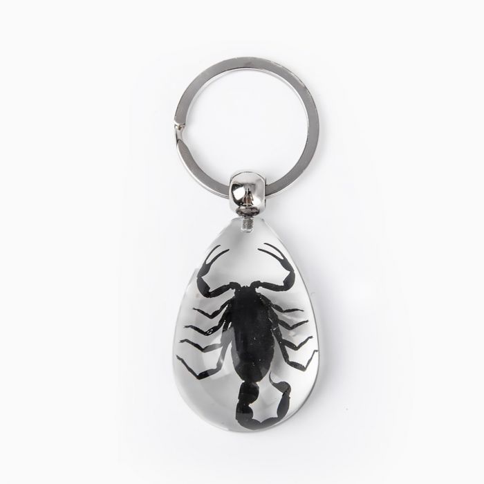 Real Black Scorpion Keychain in Clear Resin Teardrop Real Nature Gifts