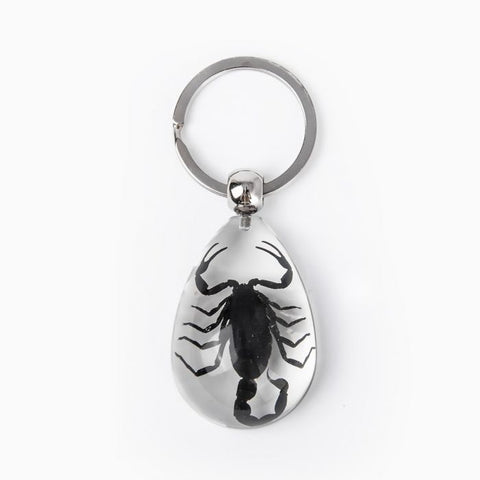 Real Black Scorpion Keychain in Clear Resin Teardrop Real Nature Gifts