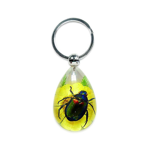 Real June Bug Keychain With Flowers and Gift Box Real Nature Gifts